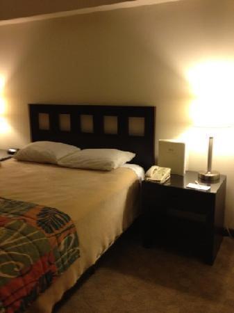 San Miguel Plaza Hotel San Juan Room photo